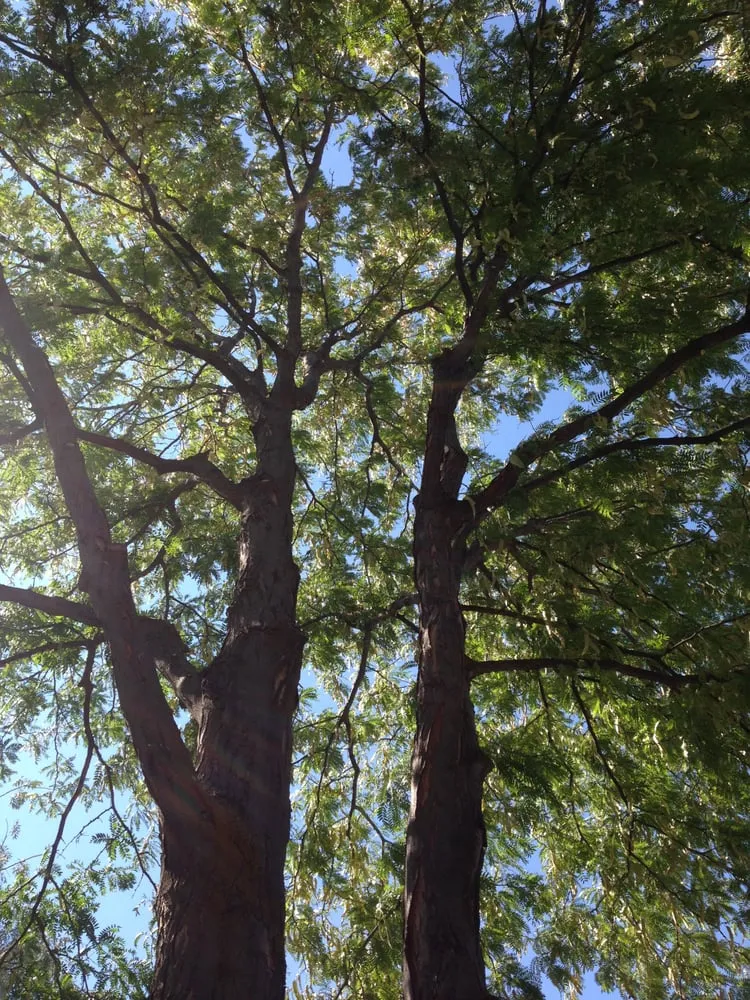 Trusted lawn mowing service in Draper, UT - Kimball Property Maintenance