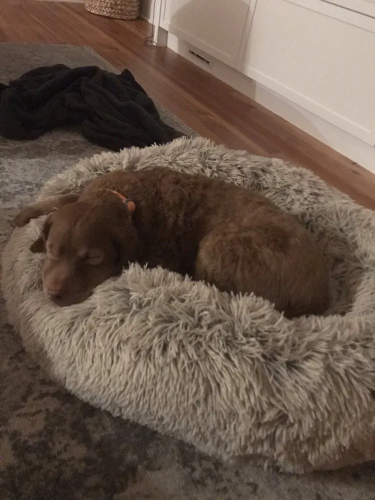 Reliable landscape design for homes across Needham, MA - Kimberly Rae Care