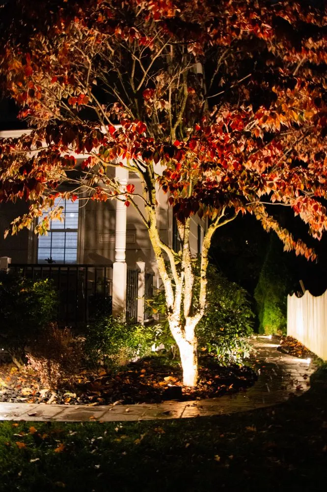 Local landscaping services near you in Rochester, NY by Kimble Landscape