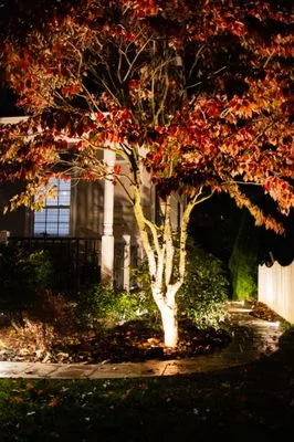 Kimble Landscape Logo