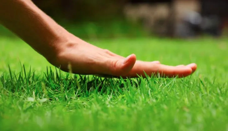 Expert residential landscaping in Cleveland, OH - Kimble's Lawn & Gardens