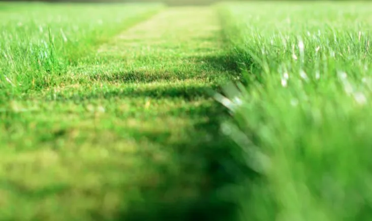 Trusted landscape installation for residential properties in Cleveland, OH by Kimble's Lawn & Gardens