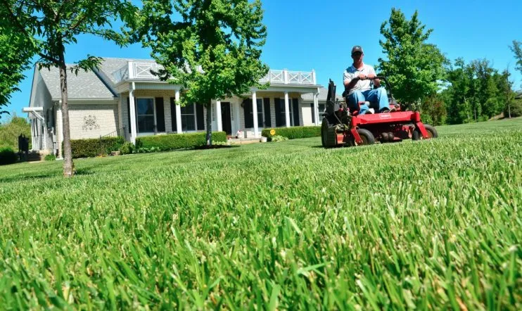 Expert landscaping services in Cleveland, OH - Kimble's Lawn & Gardens
