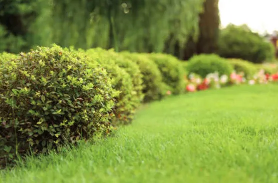 Expert landscape installation with custom design in Cleveland, OH by Kimble's Lawn & Gardens