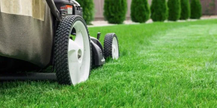Affordable yard cleanup service near you in Cleveland, OH by Kimble's Lawn & Gardens