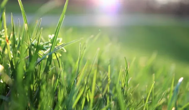 Custom yard maintenance for outdoor upgrades across Cleveland, OH - Kimble's Lawn & Gardens