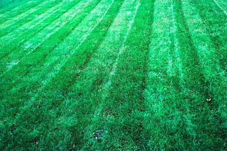 Custom landscape design for beautiful yards across Cleveland, OH - Kimble's Lawn & Gardens