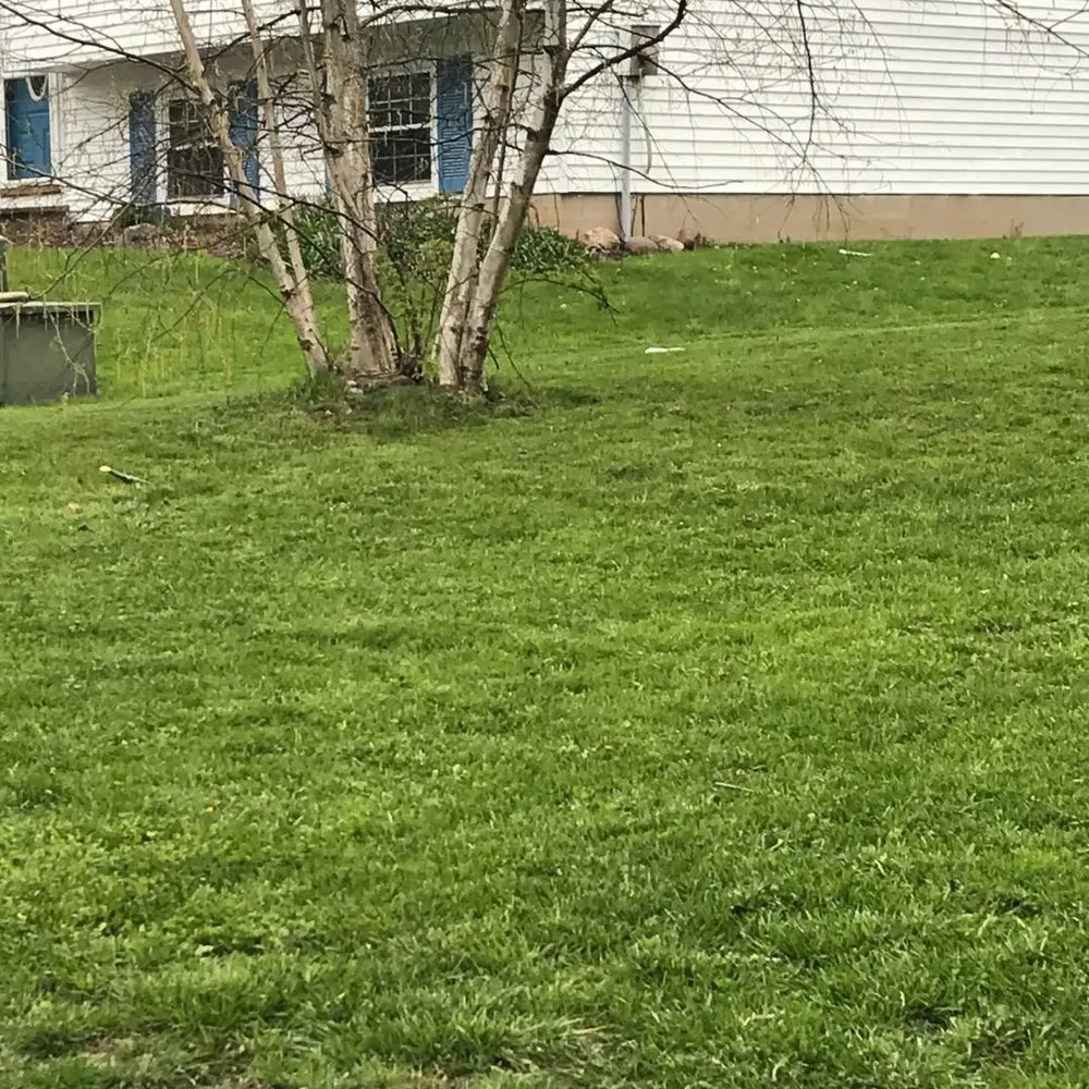 Professional lawn mowing service in Baldwinsville, NY - Kimbrook Lawn Services