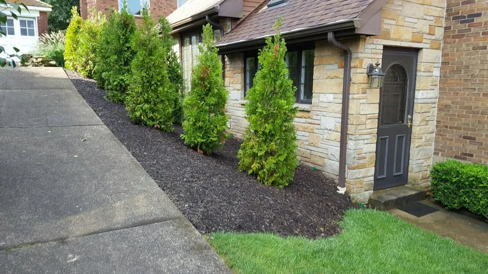 Professional yard maintenance in Pittsburgh, PA - Kimicata Brothers