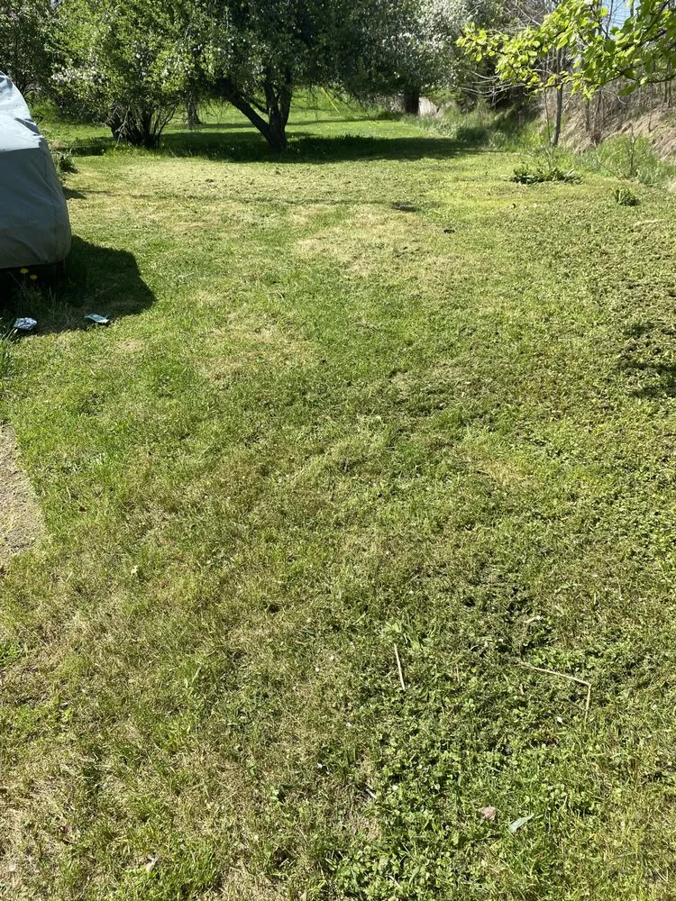 Trusted landscaping services in Owosso, MI - Kimmel lawncare and landscaping