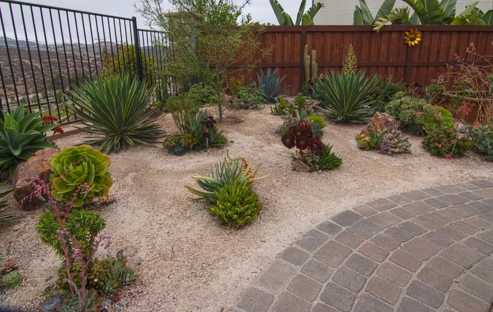 Local landscape installation in Carlsbad, CA by Kimo's Landscaping