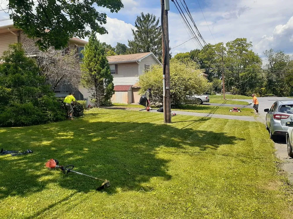 Professional lawn care service in Easton, PA by Kimroy Lawn Service