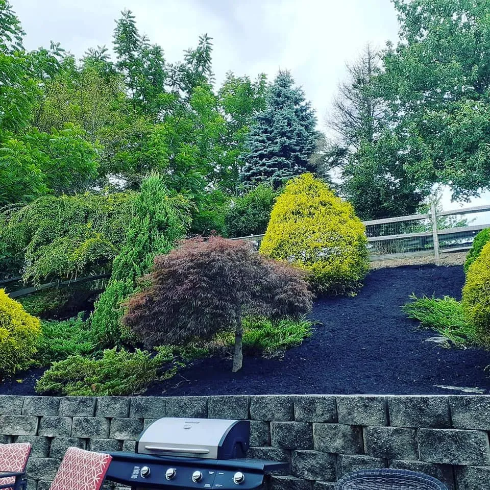 Local yard maintenance with custom design in Easton, PA by Kimroy Lawn Service
