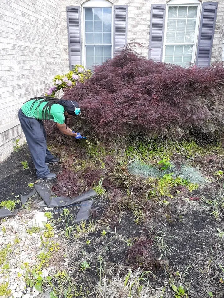 Top-rated lawn care service experts serving Easton, PA - Kimroy Lawn Service