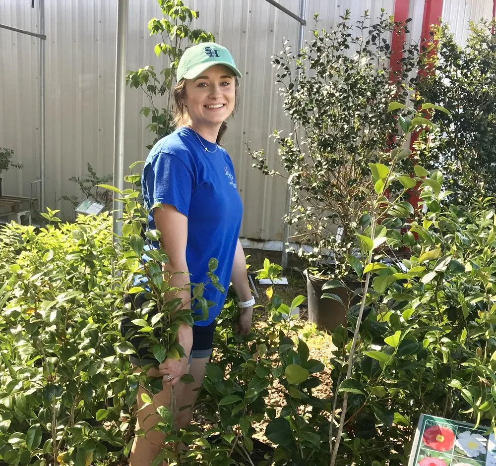 Local outdoor landscaping in Huntsville, TX - Kim's Home and Garden Center