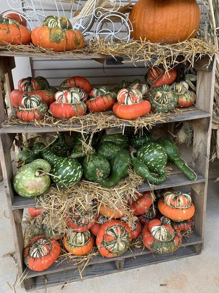 Reliable landscaping services experts serving Huntsville, TX - Kim's Home and Garden Center