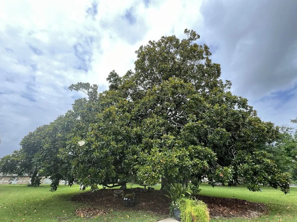 Professional residential landscaping experts serving Huntsville, TX - Kim's Home and Garden Center