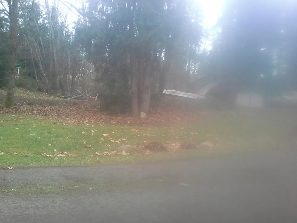 Affordable garden landscaping in Everett, WA - Kim's Landscape