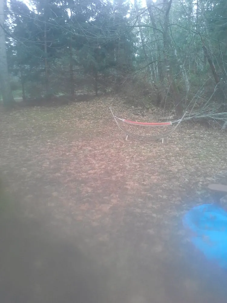 Top-rated landscaping services experts serving Everett, WA - Kim's Landscape