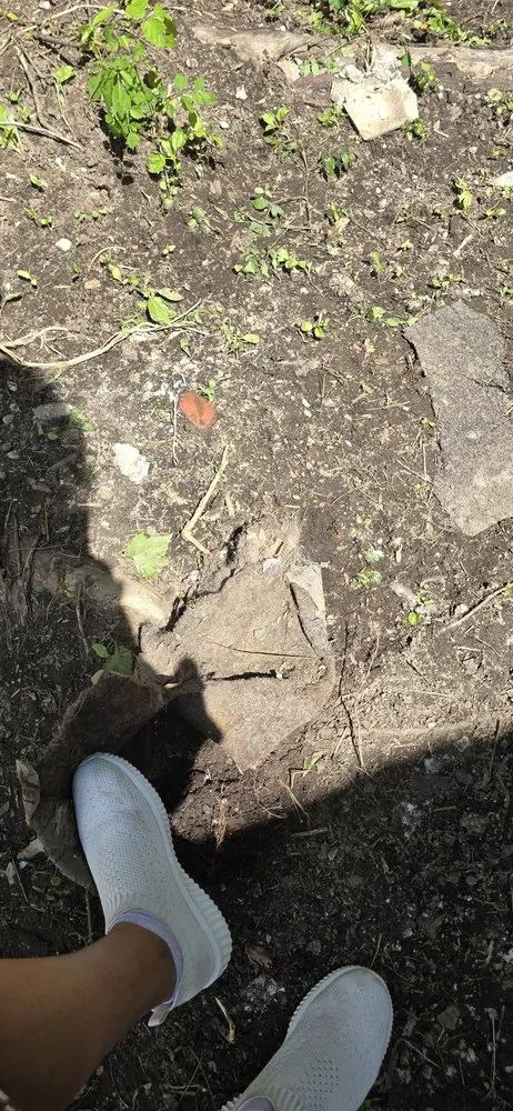 Professional yard maintenance for beautiful yards in Moorestown, NJ by Kim’s Landscaping