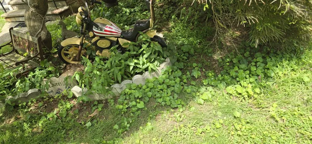 Affordable yard maintenance for year-round maintenance across Moorestown, NJ - Kim’s Landscaping