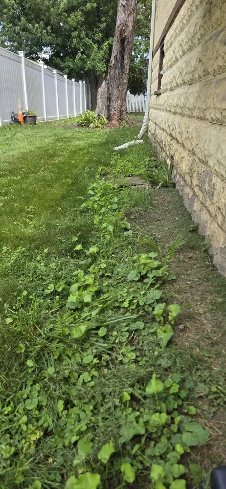 Reliable residential landscaping experts serving Moorestown, NJ - Kim’s Landscaping