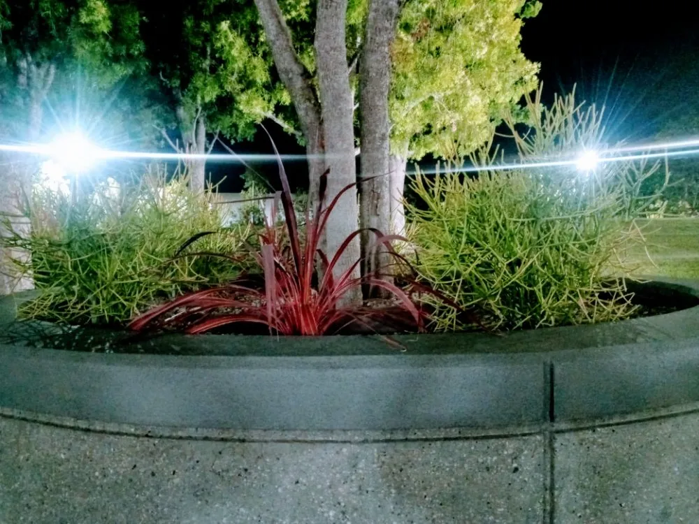 Local landscape design for year-round maintenance across San Fernando Valley, CA - Kim's landscaping