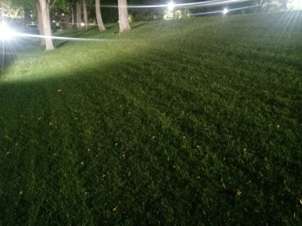 Top-rated lawn care service with custom design across San Fernando Valley, CA - Kim's landscaping