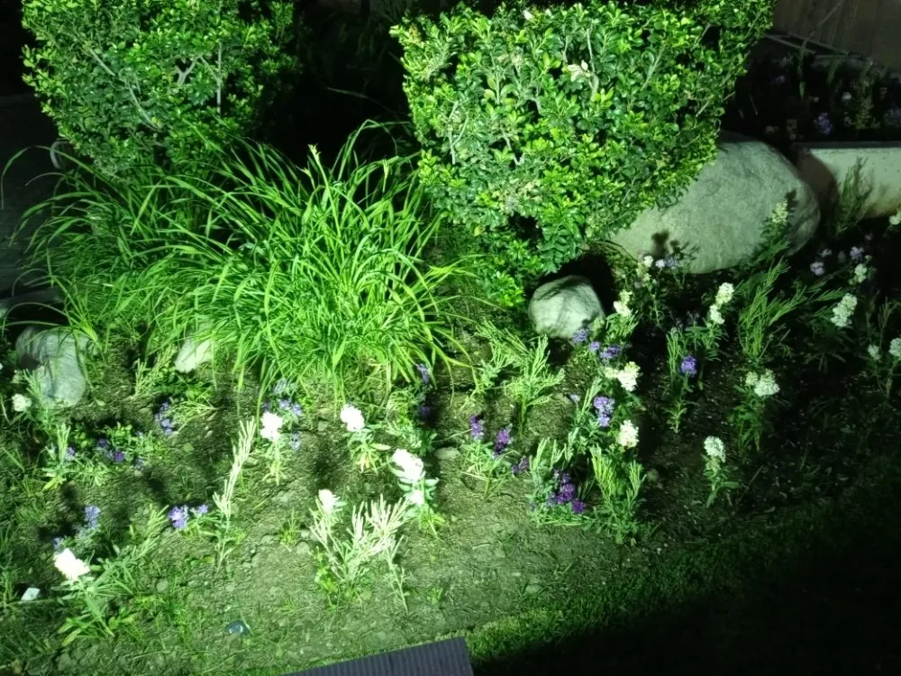 Affordable landscape installation in San Fernando Valley, CA by Kim's landscaping