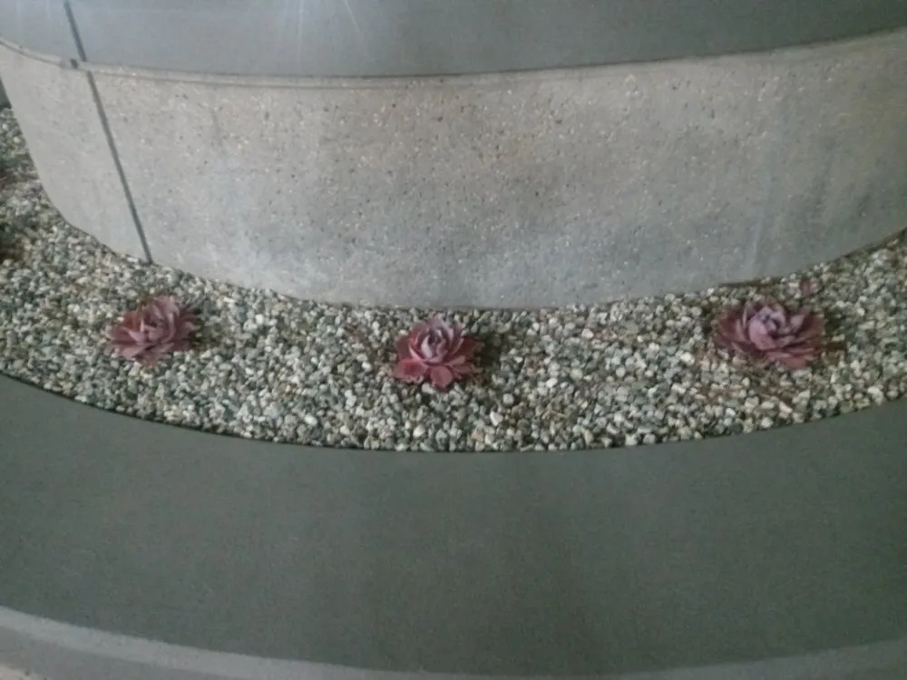 Expert lawn mowing service experts serving San Fernando Valley, CA - Kim's landscaping