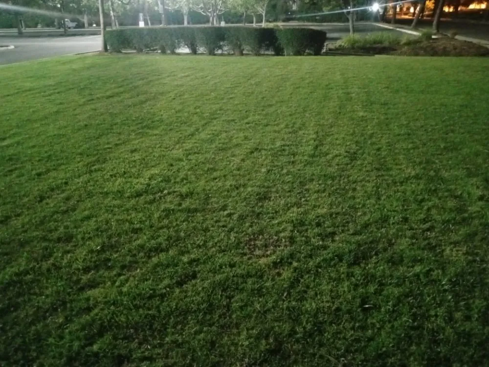 Top-rated landscape installation in San Fernando Valley, CA by Kim's landscaping