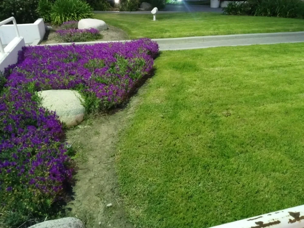 Top-rated outdoor landscaping experts serving San Fernando Valley, CA - Kim's landscaping