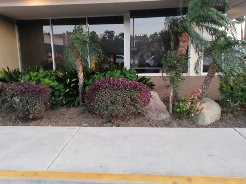 Trusted outdoor landscaping in San Fernando Valley, CA - Kim's landscaping