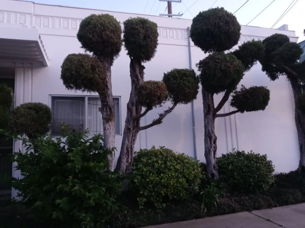 Reliable landscaping services for outdoor upgrades in San Fernando Valley, CA by Kim's landscaping