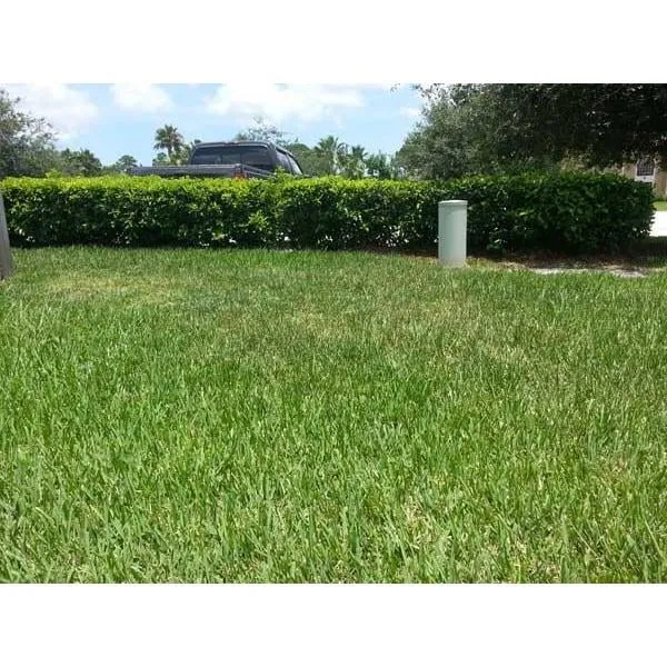 Affordable landscape design for residential properties across Quincy, IL - Kim's Lawn Care