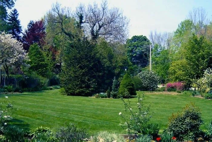 Professional lawn care service for year-round maintenance across Quincy, IL - Kim's Lawn Care