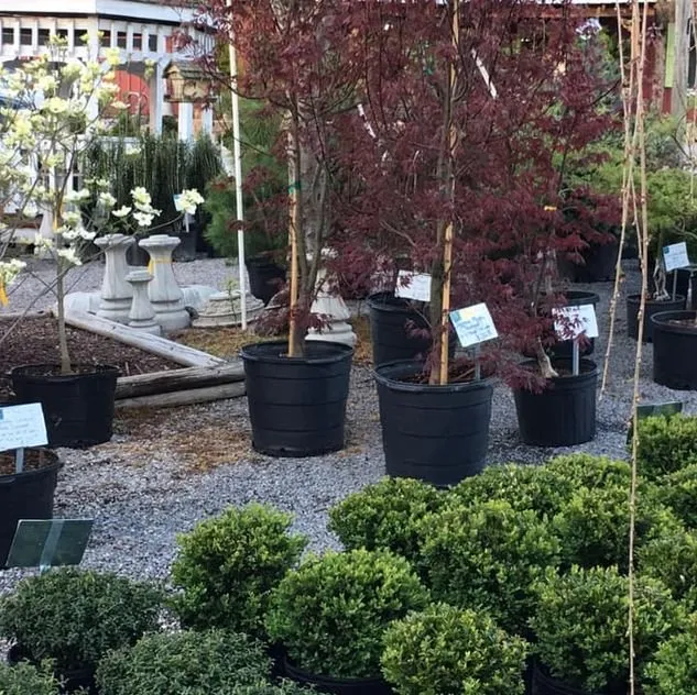 Reliable lawn mowing service with custom design in Scottsville, KY by Kim's Nursery