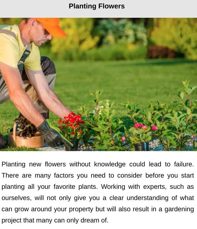 Custom lawn mowing service for residential properties across Belton, SC - Kinard Lawn Care