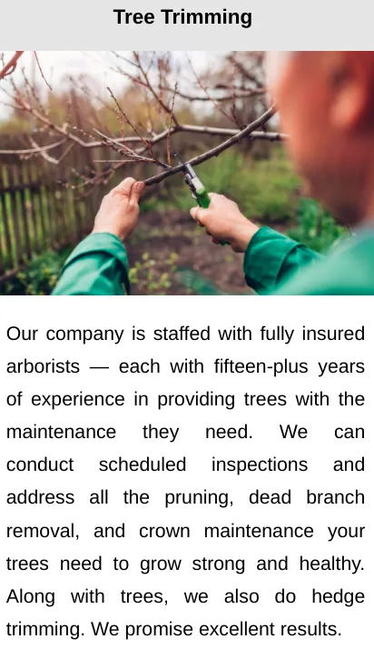 Professional lawn care service near you in Belton, SC by Kinard Lawn Care