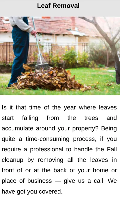 Professional lawn care service near you across Belton, SC - Kinard Lawn Care