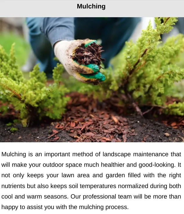 Trusted landscaping services for outdoor upgrades across Belton, SC - Kinard Lawn Care