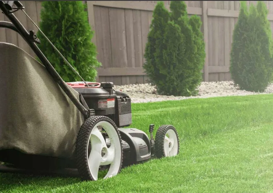 Custom outdoor landscaping experts serving Belton, SC - Kinard Lawn Care