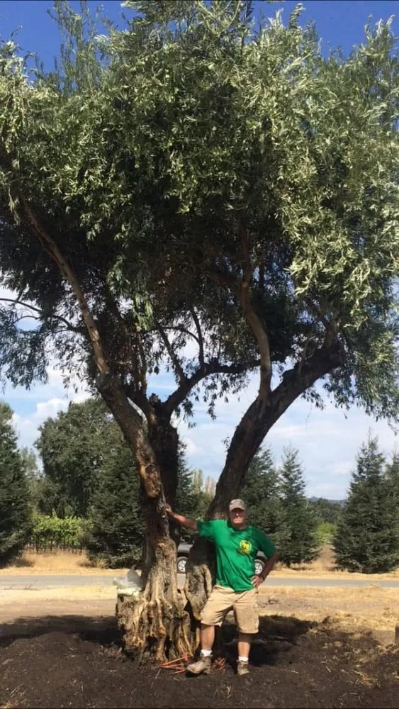 Expert garden landscaping in Grass Valley, CA - Kind Landscaping