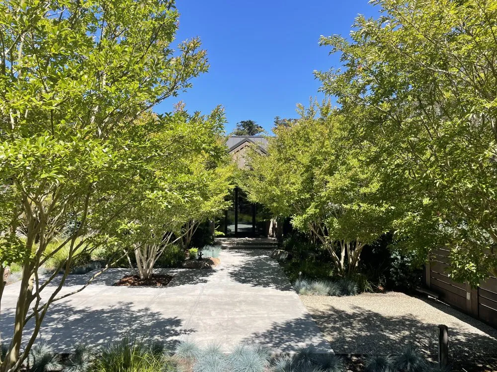 Expert yard maintenance experts serving Grass Valley, CA - Kind Landscaping