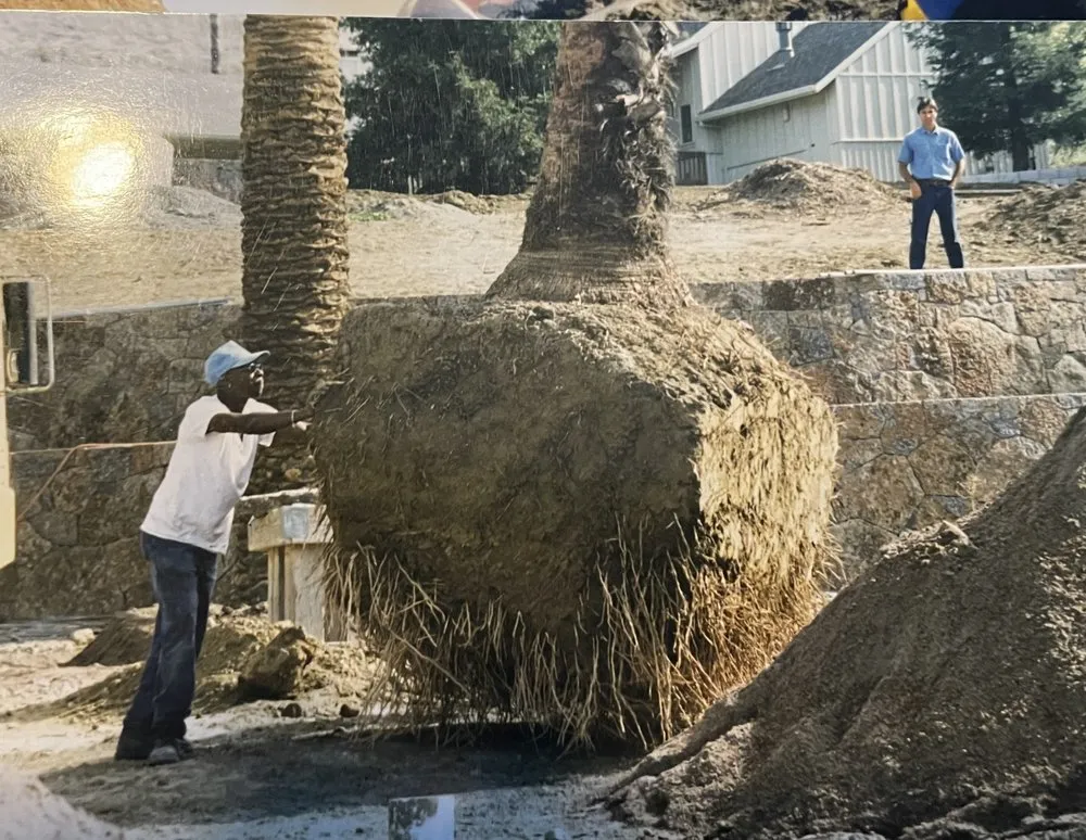 Affordable landscape design experts serving Grass Valley, CA - Kind Landscaping