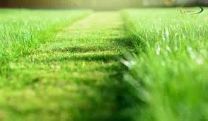 Affordable lawn care service experts serving Oklahoma City, OK - Kinda Brothers Lawn Care