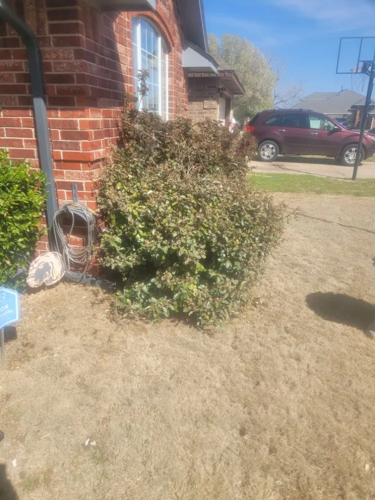 Affordable garden landscaping in Oklahoma City, OK by Kinda Brothers Lawn Care