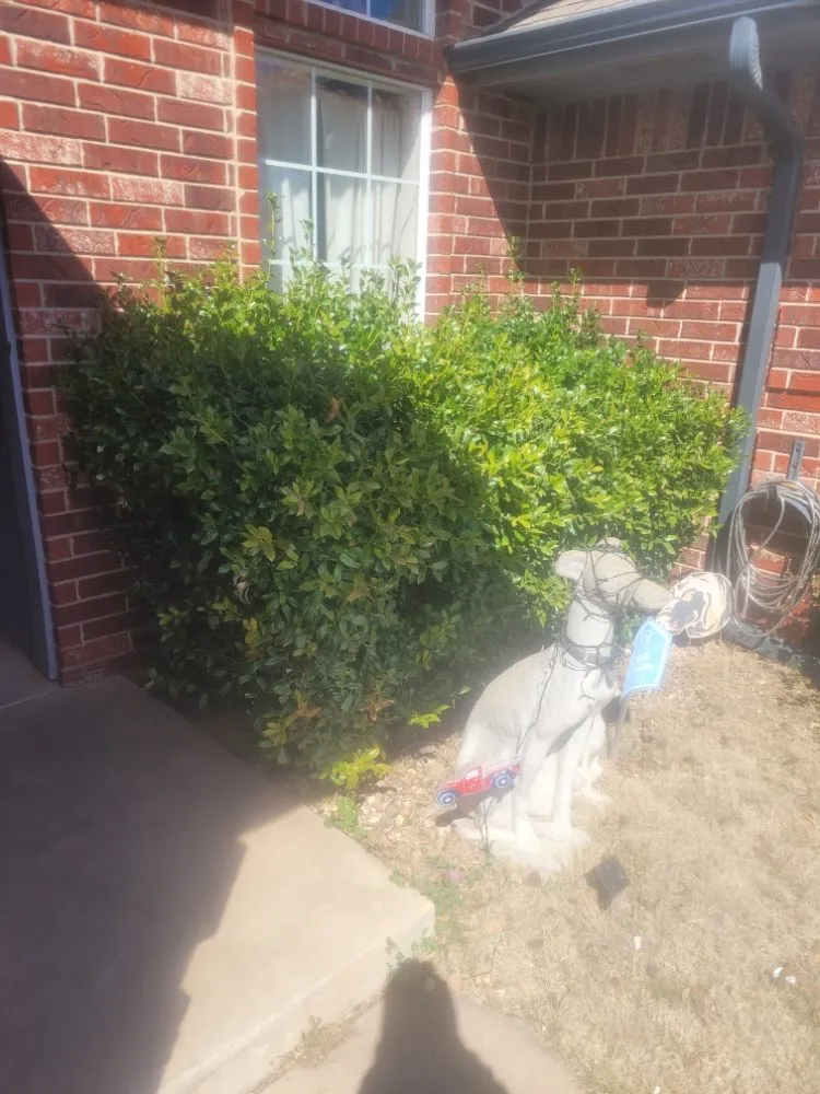 Local yard cleanup service in Oklahoma City, OK by Kinda Brothers Lawn Care