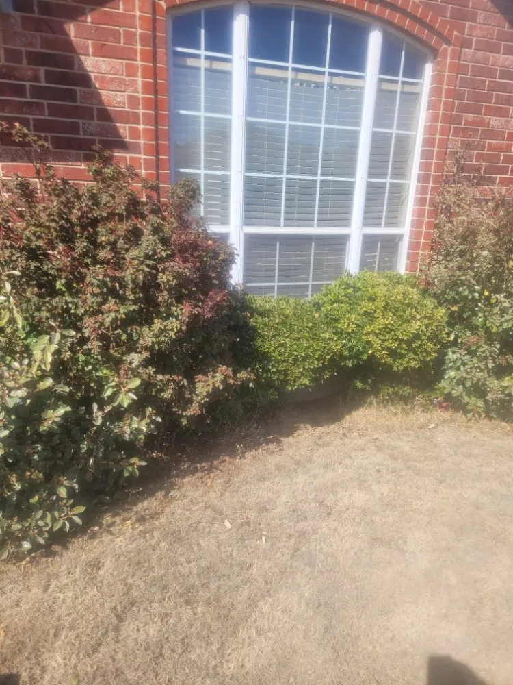 Reliable landscaping services for homes in Oklahoma City, OK by Kinda Brothers Lawn Care