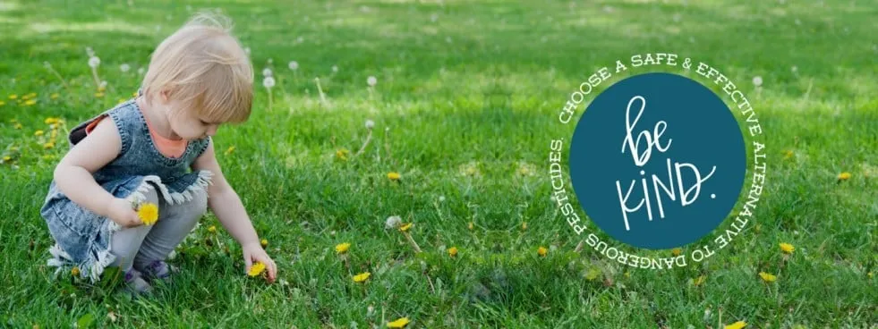 Professional lawn mowing service experts serving Franklin, MA - Kinder Spray